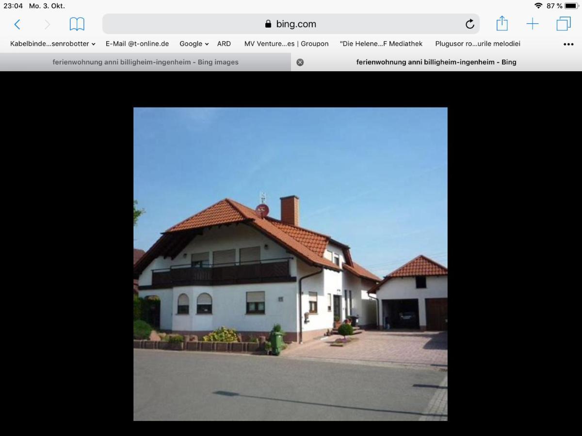 „Ferienwohnung Anni“ Billigheim-Ingenheim Экстерьер фото